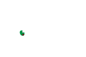 RFS Nola Logo